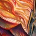 tattoo galleries/ - Sort of a bio mech-ish flame lightform thing - 34022
